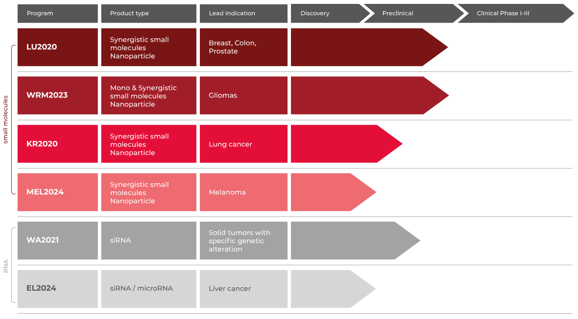 A chart depicting the development stages of six programs in the pipeline. For each program, its name, type, main therapeutic indication, and current stage of progress are indicated: from the discovery phase, through preclinical studies, to the clinical phase.